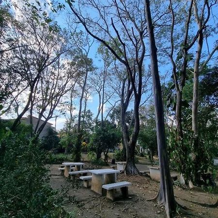Acogedor Apt/Studio En La Ciudad De Santa Tecla Екстериор снимка